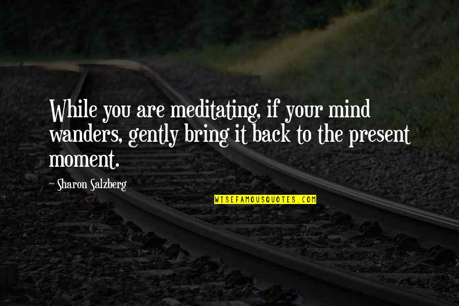 Jested Quotes By Sharon Salzberg: While you are meditating, if your mind wanders,