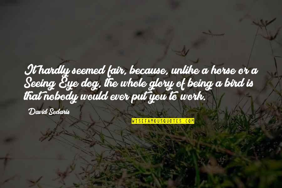 Jesters Winery Quotes By David Sedaris: It hardly seemed fair, because, unlike a horse Jesters Winery Quotes By David Sedaris: It hardly seemed fair, because, unlike a horse