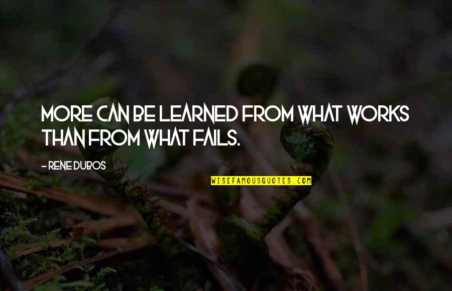 Jesuitical Quotes By Rene Dubos: More can be learned from what works than