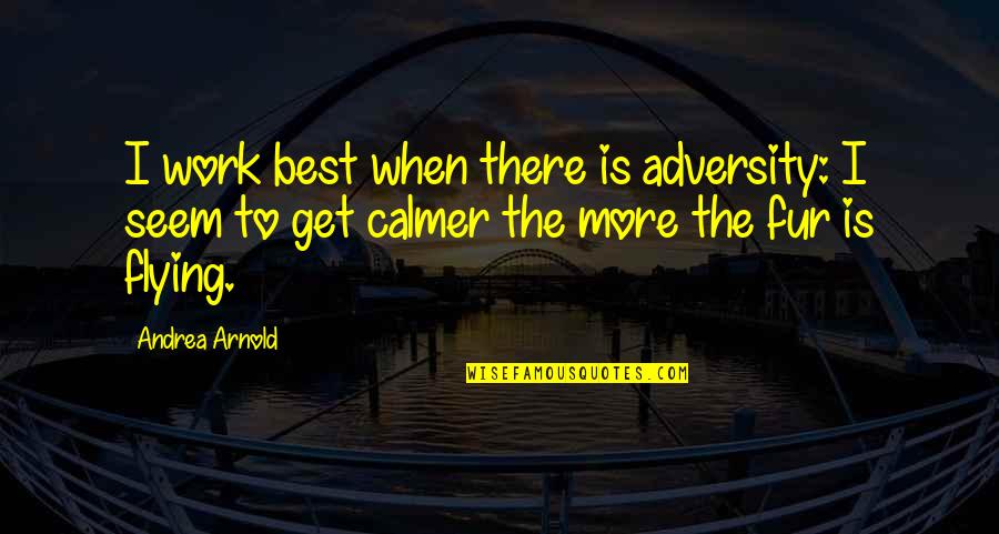 Jesus And Family Quotes By Andrea Arnold: I work best when there is adversity: I