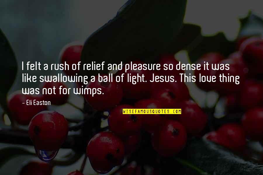 Jesus And Love Quotes By Eli Easton: I felt a rush of relief and pleasure