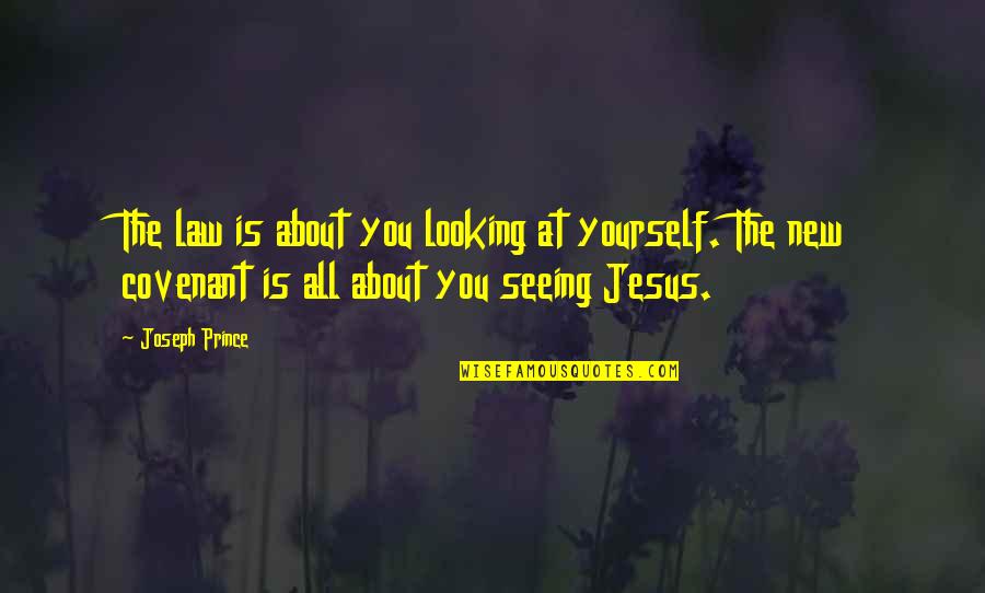 Jesus Covenant Quotes By Joseph Prince: The law is about you looking at yourself.
