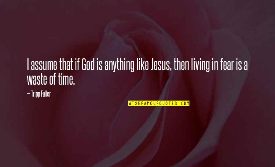 Jesus Fear Not Quotes By Tripp Fuller: I assume that if God is anything like