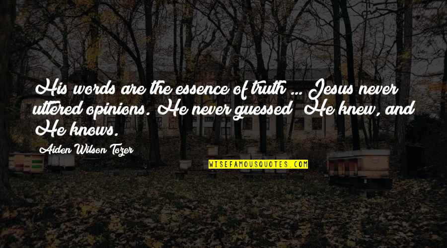 Jesus I Never Knew Quotes By Aiden Wilson Tozer: His words are the essence of truth ...