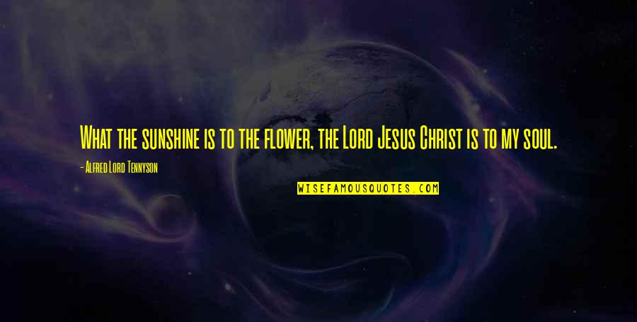 Jesus Is My Quotes By Alfred Lord Tennyson: What the sunshine is to the flower, the