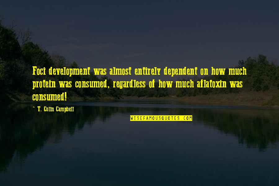 Jesus Of Suburbia Quotes By T. Colin Campbell: Foci development was almost entirely dependent on how