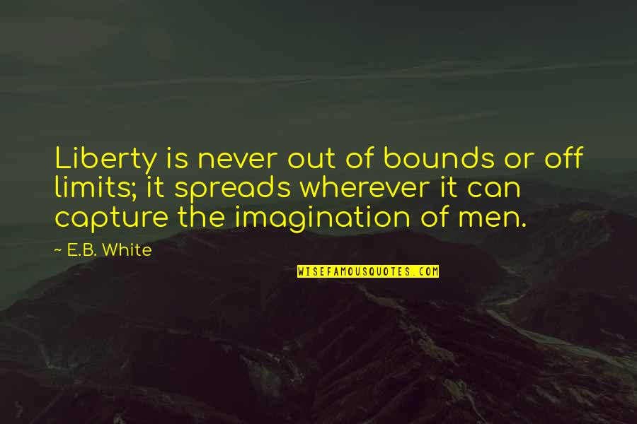 Jet Aircraft Quotes By E.B. White: Liberty is never out of bounds or off