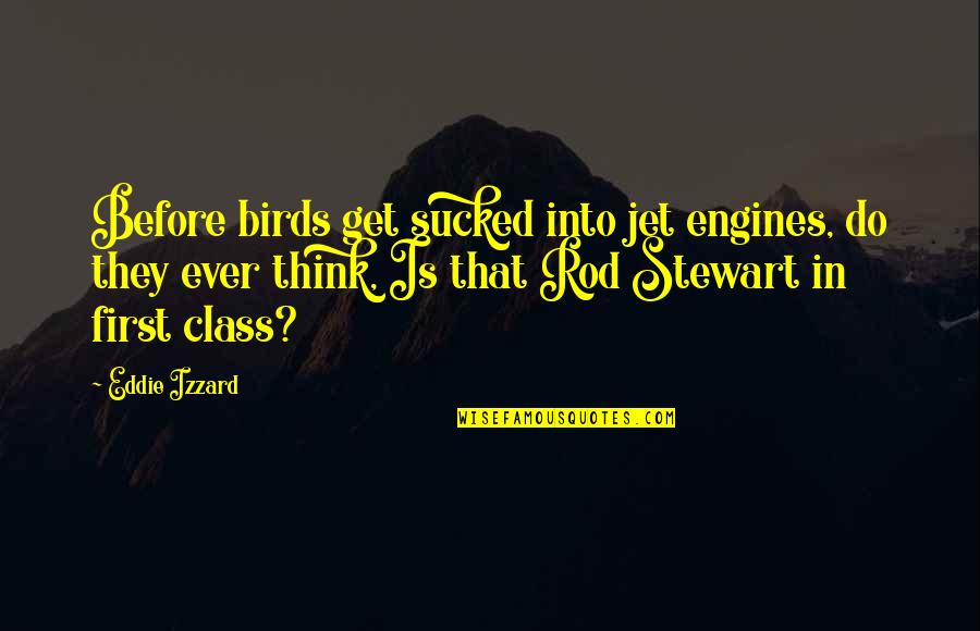 Jet Engines Quotes By Eddie Izzard: Before birds get sucked into jet engines, do