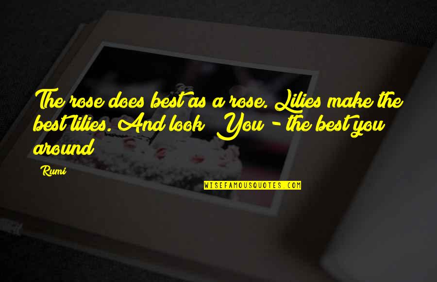 Jet Lagged Symptoms Quotes By Rumi: The rose does best as a rose. Lilies Jet Lagged Symptoms Quotes By Rumi: The rose does best as a rose. Lilies