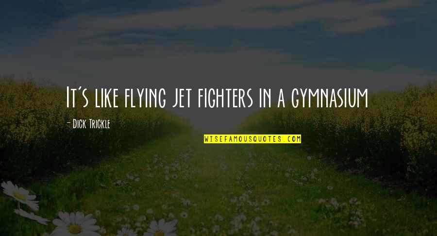 Jet Like Jet Quotes By Dick Trickle: It's like flying jet fighters in a gymnasium