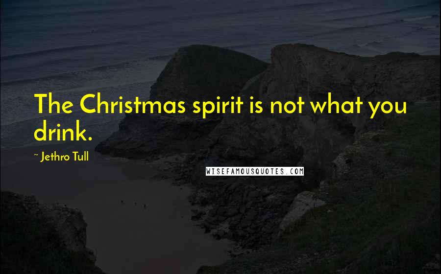 Jethro Tull quotes: The Christmas spirit is not what you drink.