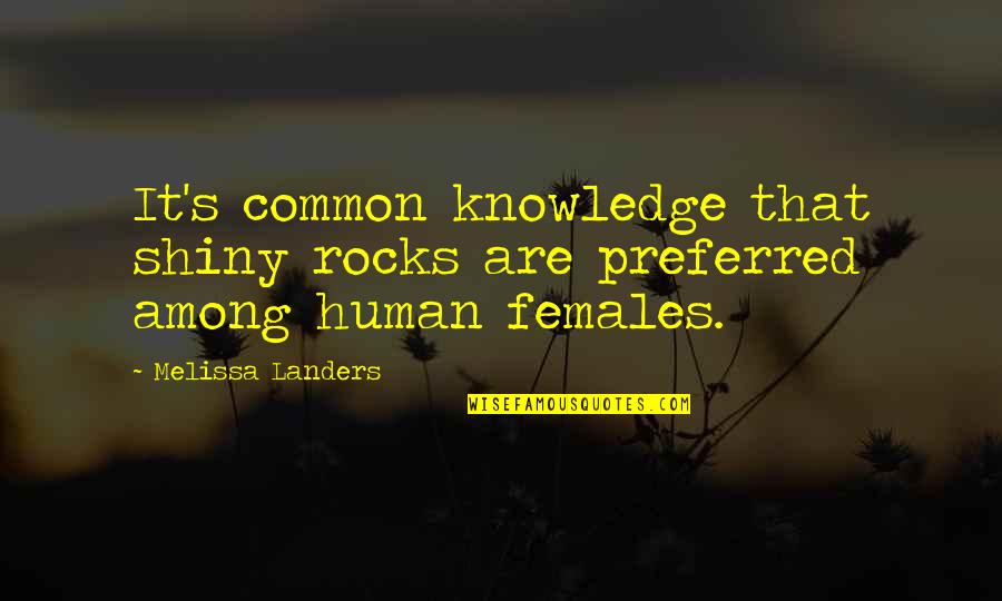Jethros Altoona Quotes By Melissa Landers: It's common knowledge that shiny rocks are preferred