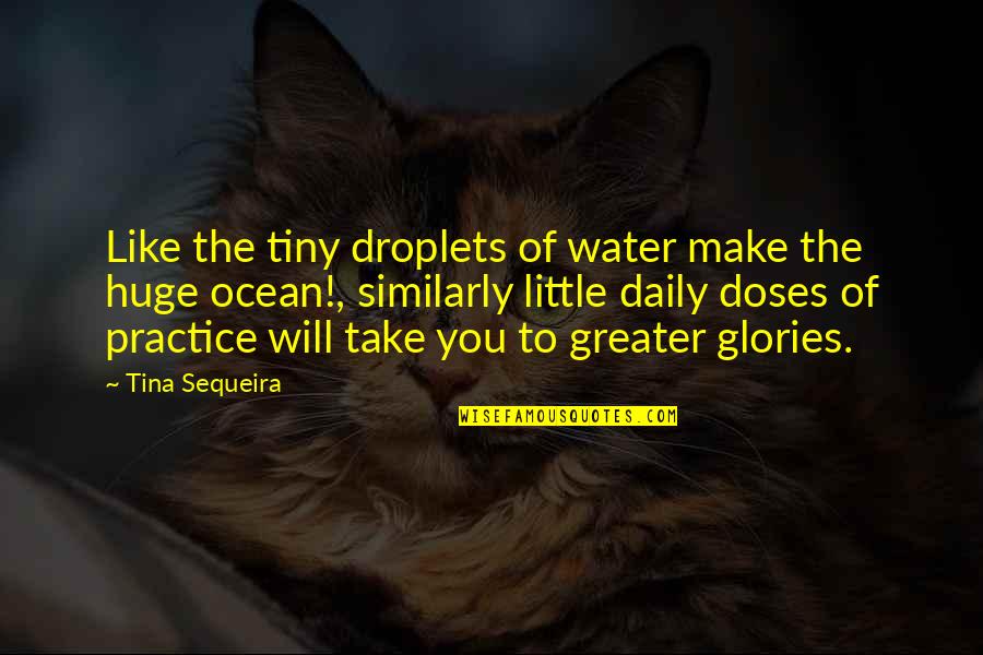 Jetsrus Quotes By Tina Sequeira: Like the tiny droplets of water make the Jetsrus Quotes By Tina Sequeira: Like the tiny droplets of water make the