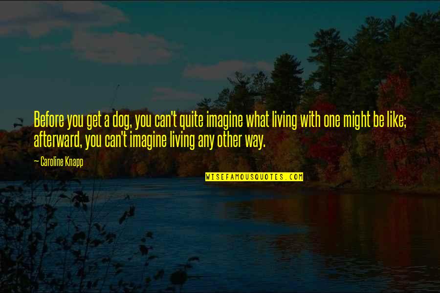 Jetting Quotes By Caroline Knapp: Before you get a dog, you can't quite Jetting Quotes By Caroline Knapp: Before you get a dog, you can't quite
