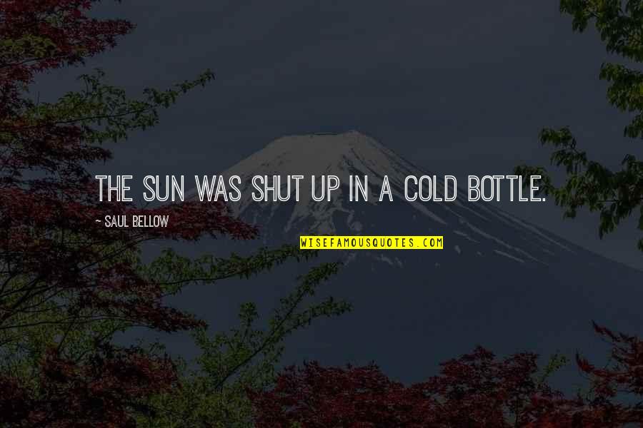 Jevtovic Cacak Quotes By Saul Bellow: The sun was shut up in a cold Jevtovic Cacak Quotes By Saul Bellow: The sun was shut up in a cold