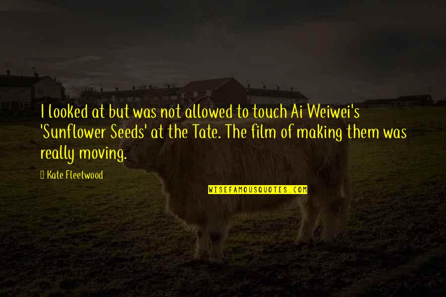 Jezreel Pronunciation Quotes By Kate Fleetwood: I looked at but was not allowed to Jezreel Pronunciation Quotes By Kate Fleetwood: I looked at but was not allowed to