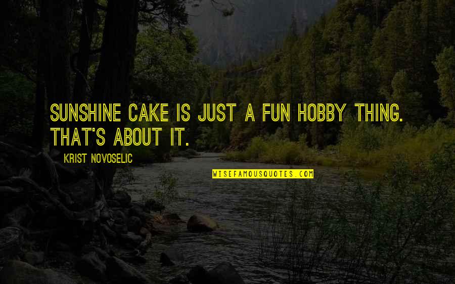 Jfk Apollo Quotes By Krist Novoselic: Sunshine Cake is just a fun hobby thing.