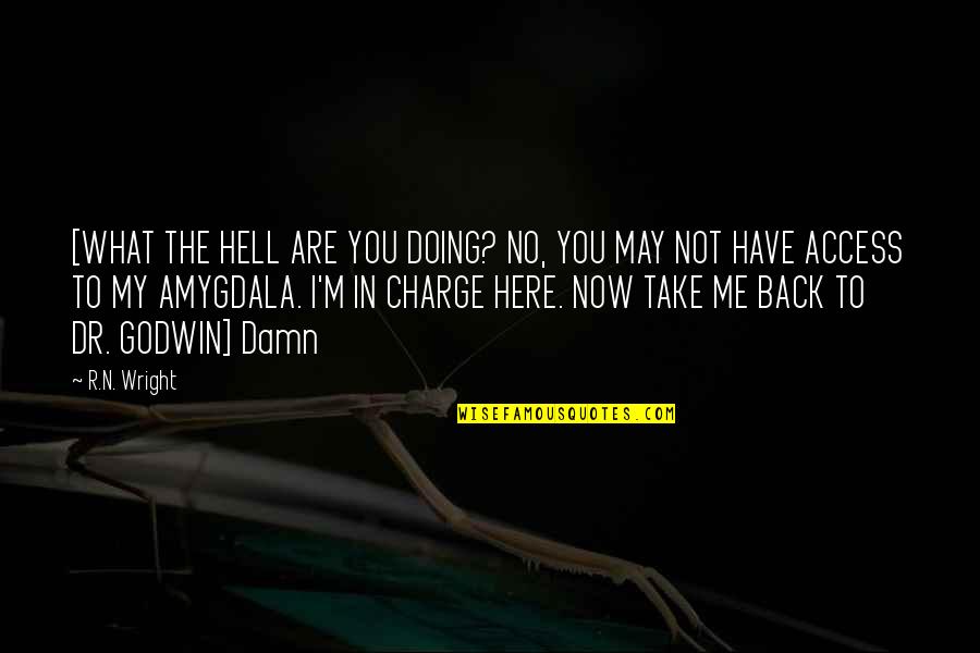 Jhoola Quotes By R.N. Wright: [WHAT THE HELL ARE YOU DOING? NO, YOU Jhoola Quotes By R.N. Wright: [WHAT THE HELL ARE YOU DOING? NO, YOU