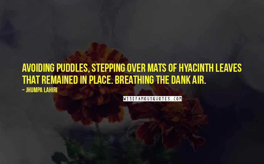 Jhumpa Lahiri quotes: Avoiding puddles, stepping over mats of hyacinth leaves that remained in place. Breathing the dank air.