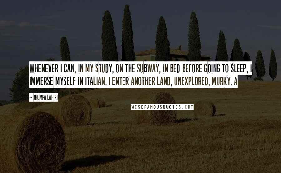 Jhumpa Lahiri quotes: Whenever I can, in my study, on the subway, in bed before going to sleep, I immerse myself in Italian. I enter another land, unexplored, murky. A