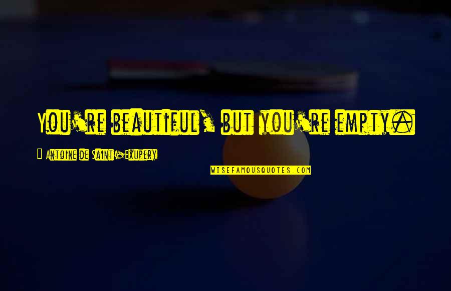 Ji Gong Quotes By Antoine De Saint-Exupery: You're beautiful, but you're empty. Ji Gong Quotes By Antoine De Saint-Exupery: You're beautiful, but you're empty.