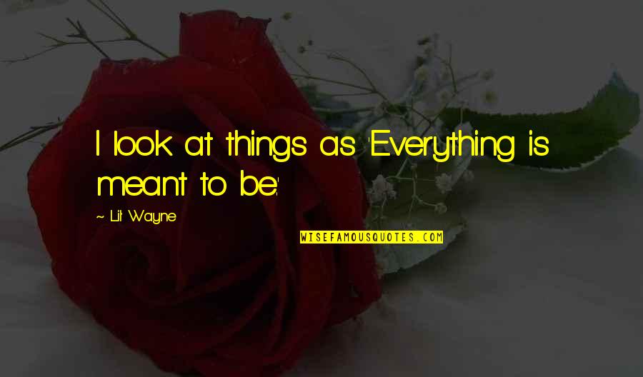 Jiabao Quotes By Lil' Wayne: I look at things as 'Everything is meant Jiabao Quotes By Lil' Wayne: I look at things as 'Everything is meant