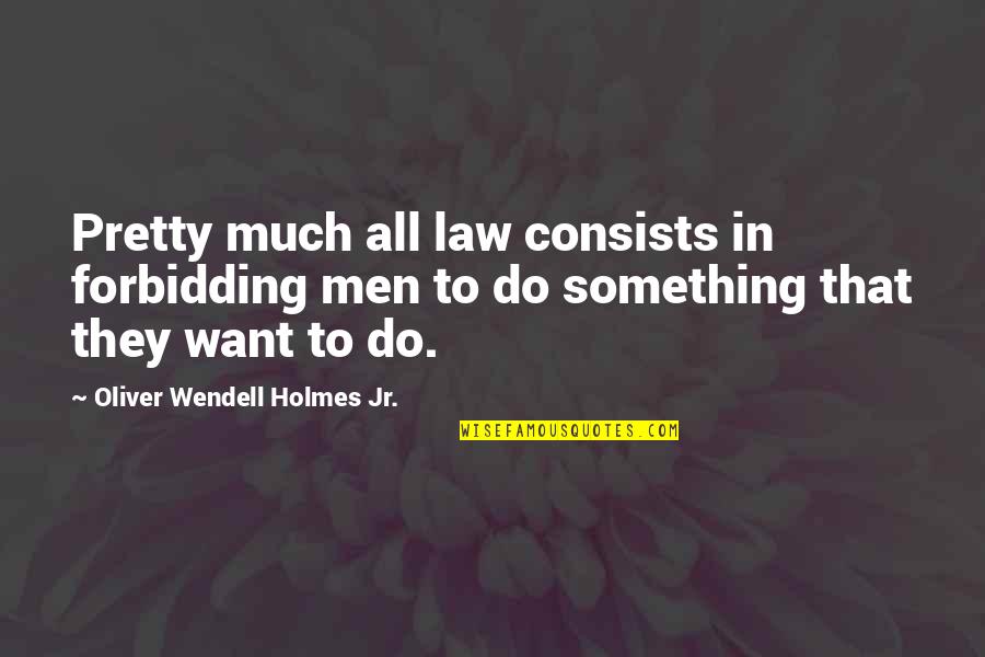 Jiabao Quotes By Oliver Wendell Holmes Jr.: Pretty much all law consists in forbidding men Jiabao Quotes By Oliver Wendell Holmes Jr.: Pretty much all law consists in forbidding men