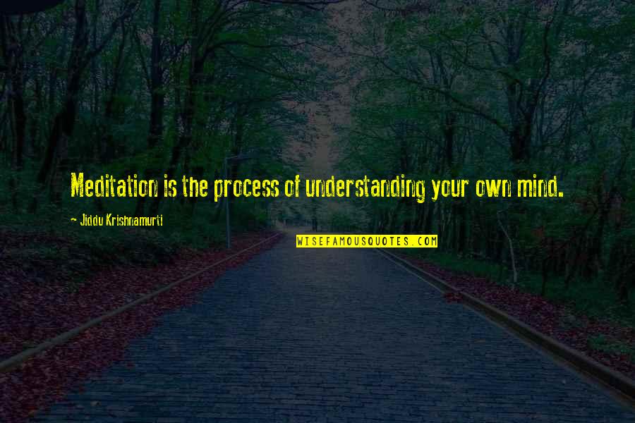 Jiddu Krishnamurti Meditation Quotes By Jiddu Krishnamurti: Meditation is the process of understanding your own Jiddu Krishnamurti Meditation Quotes By Jiddu Krishnamurti: Meditation is the process of understanding your own