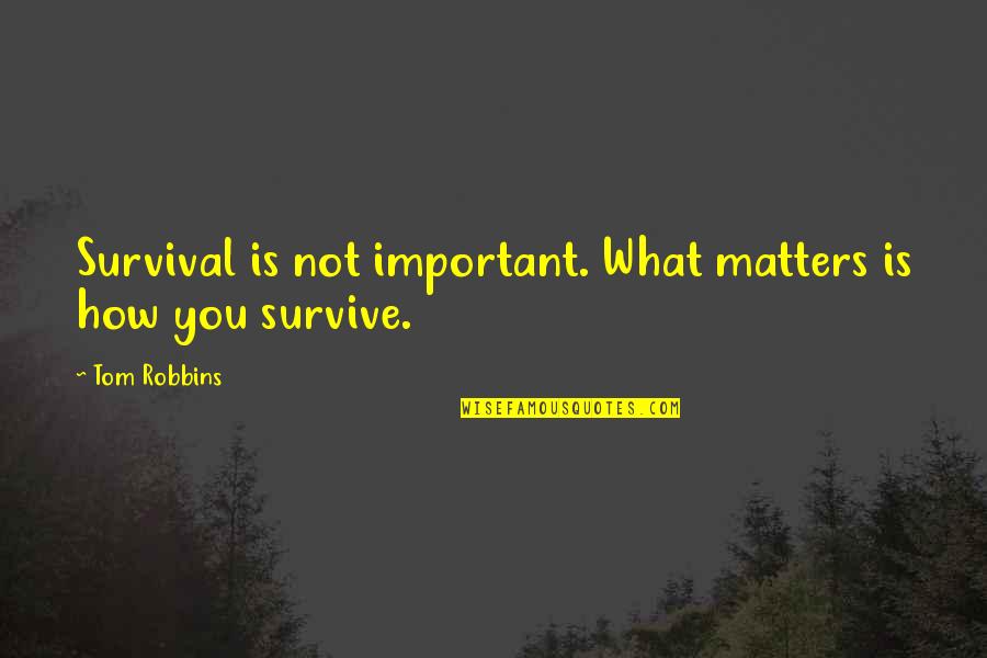 Jihad Al Nafs Quotes By Tom Robbins: Survival is not important. What matters is how