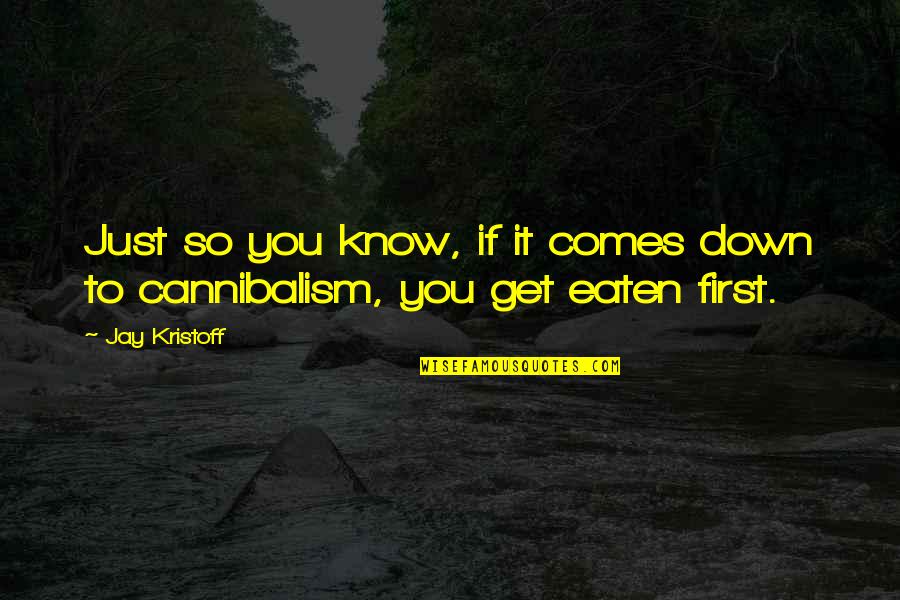 Jihad In Islam Quotes By Jay Kristoff: Just so you know, if it comes down