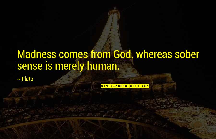 Jihadistisch Quotes By Plato: Madness comes from God, whereas sober sense is