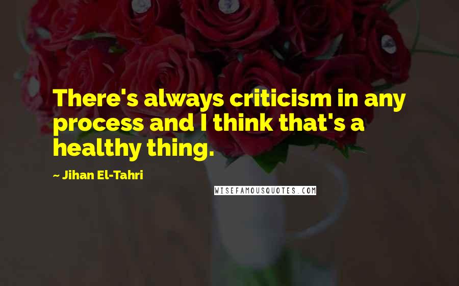 Jihan El-Tahri quotes: There's always criticism in any process and I think that's a healthy thing.