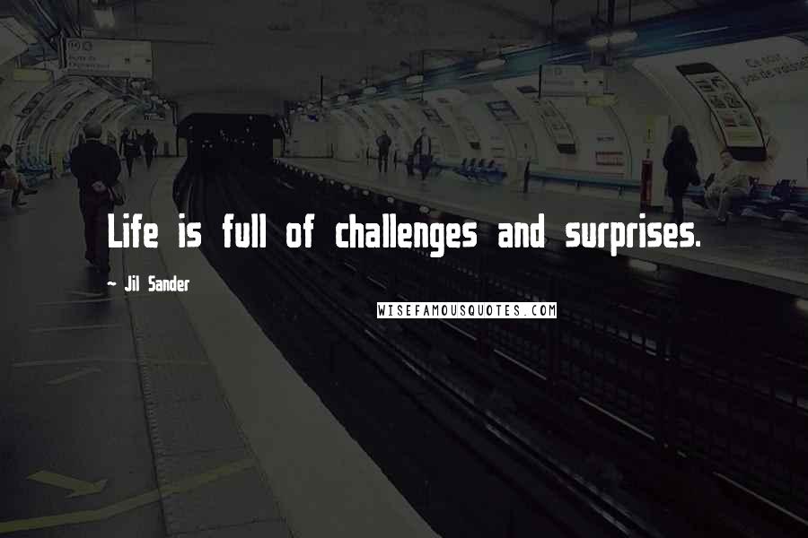 Jil Sander quotes: Life is full of challenges and surprises.