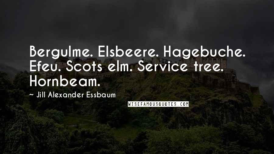 Jill Alexander Essbaum quotes: Bergulme. Elsbeere. Hagebuche. Efeu. Scots elm. Service tree. Hornbeam.