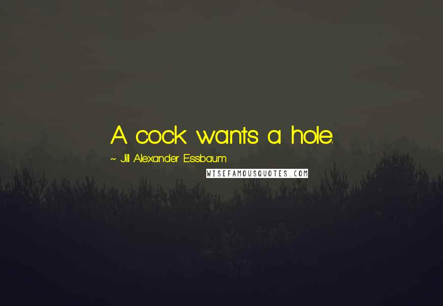 Jill Alexander Essbaum quotes: A cock wants a hole.