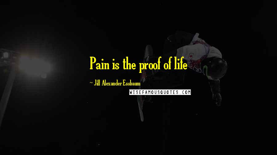 Jill Alexander Essbaum quotes: Pain is the proof of life