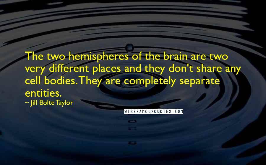 Jill Bolte Taylor quotes: The two hemispheres of the brain are two very different places and they don't share any cell bodies. They are completely separate entities.