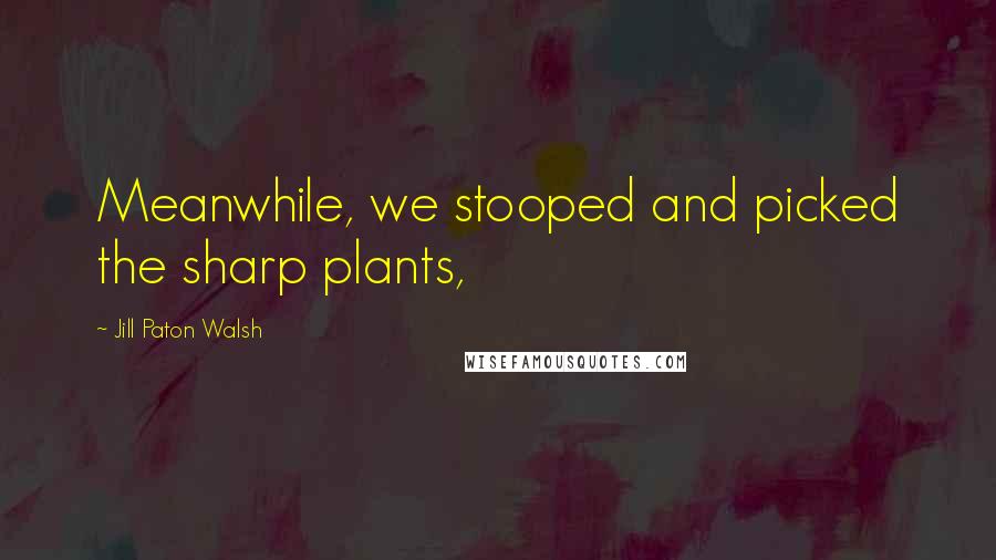 Jill Paton Walsh quotes: Meanwhile, we stooped and picked the sharp plants,