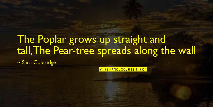 Jill Pole Quotes By Sara Coleridge: The Poplar grows up straight and tall,The Pear-tree