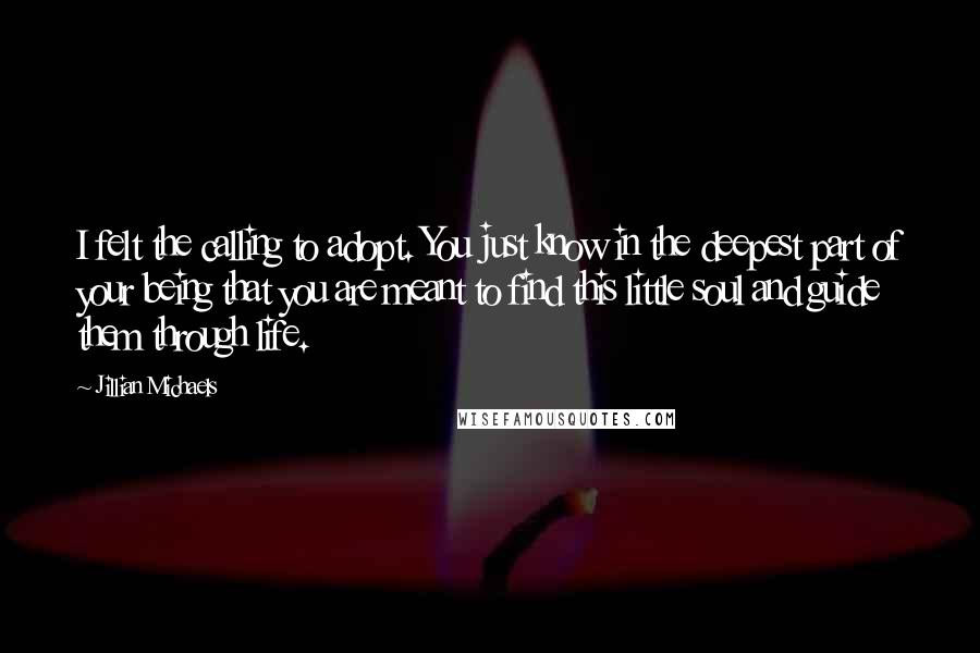 Jillian Michaels quotes: I felt the calling to adopt. You just know in the deepest part of your being that you are meant to find this little soul and guide them through life. Jillian Michaels quotes: I felt the calling to adopt. You just know in the deepest part of your being that you are meant to find this little soul and guide them through life.