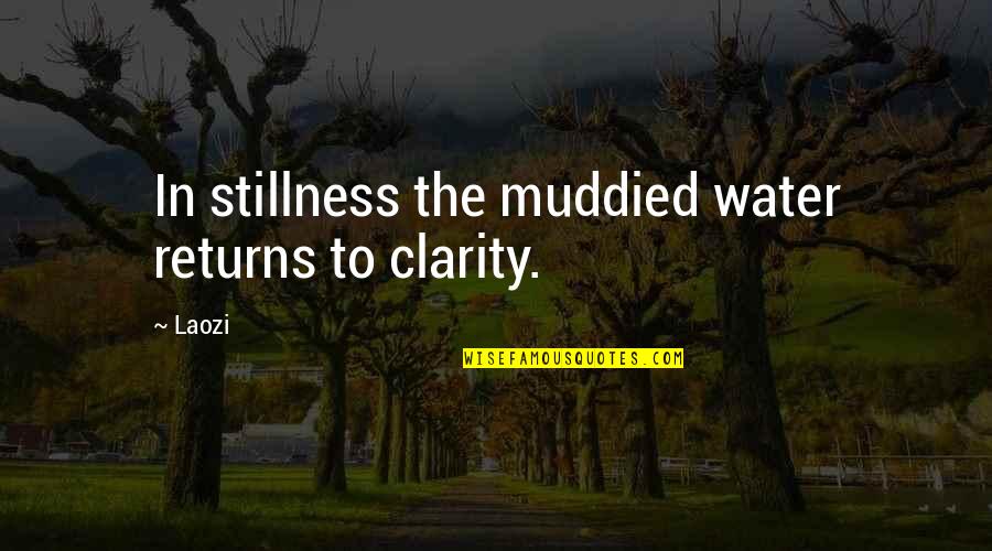 Jilliana San Diego Quotes By Laozi: In stillness the muddied water returns to clarity.