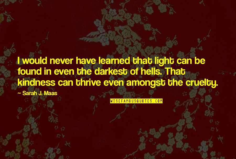 Jilliansurfs Quotes By Sarah J. Maas: I would never have learned that light can Jilliansurfs Quotes By Sarah J. Maas: I would never have learned that light can