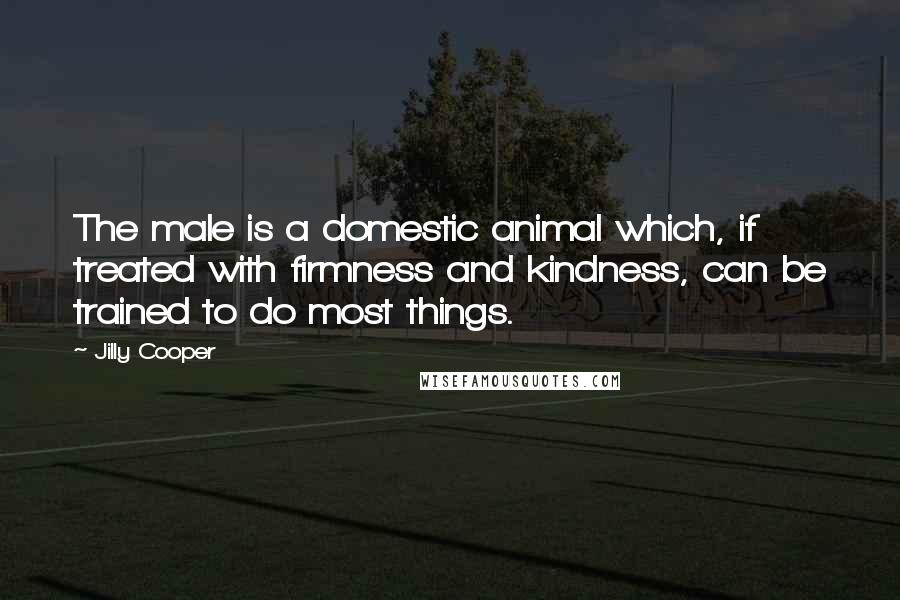 Jilly Cooper quotes: The male is a domestic animal which, if treated with firmness and kindness, can be trained to do most things. Jilly Cooper quotes: The male is a domestic animal which, if treated with firmness and kindness, can be trained to do most things.