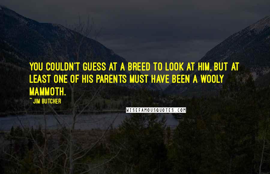 Jim Butcher quotes: You couldn't guess at a breed to look at him, but at least one of his parents must have been a wooly mammoth.