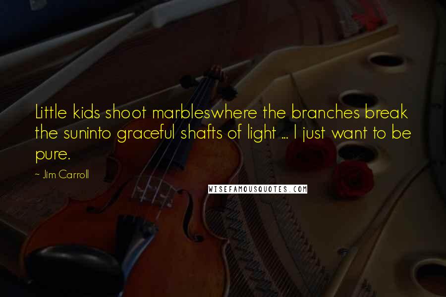 Jim Carroll quotes: Little kids shoot marbleswhere the branches break the suninto graceful shafts of light ... I just want to be pure.