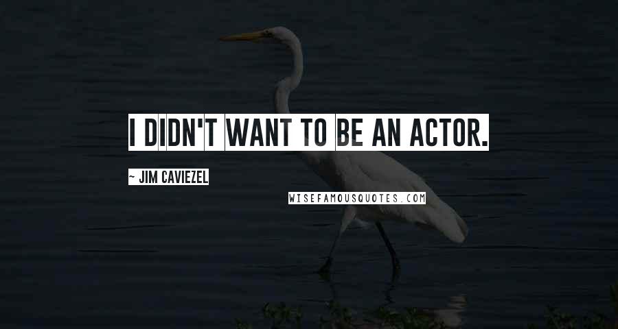 Jim Caviezel quotes: I didn't want to be an actor.