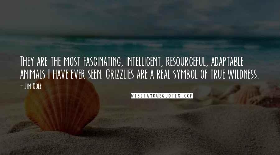 Jim Cole quotes: They are the most fascinating, intelligent, resourceful, adaptable animals I have ever seen. Grizzlies are a real symbol of true wildness.