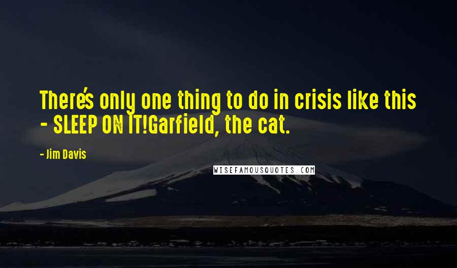 Jim Davis quotes: There's only one thing to do in crisis like this - SLEEP ON IT!Garfield, the cat.