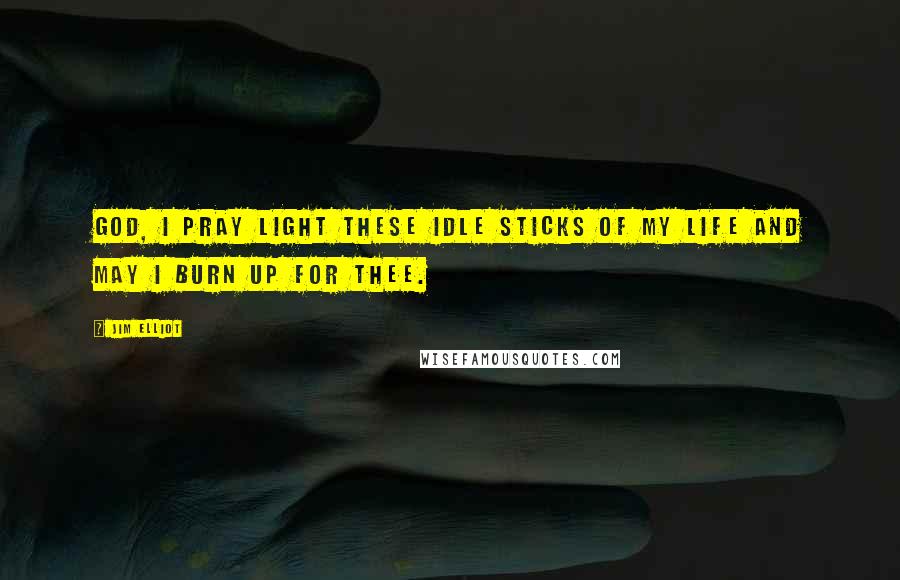Jim Elliot quotes: God, I pray light these idle sticks of my life and may I burn up for thee.