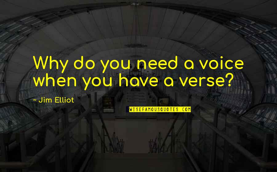 Jim Elliot Quotes By Jim Elliot: Why do you need a voice when you